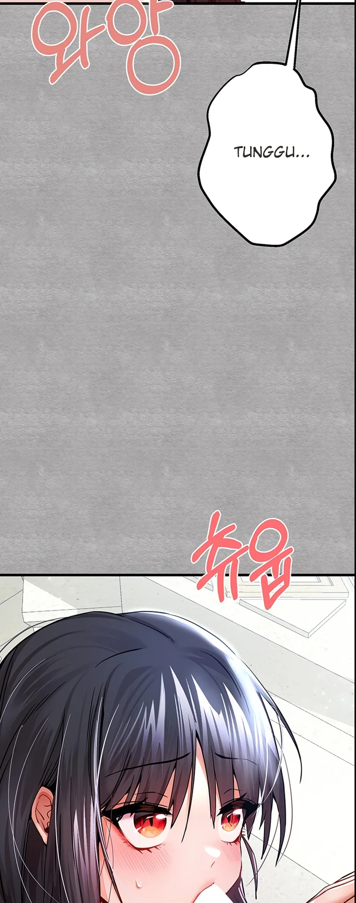 13 (43)